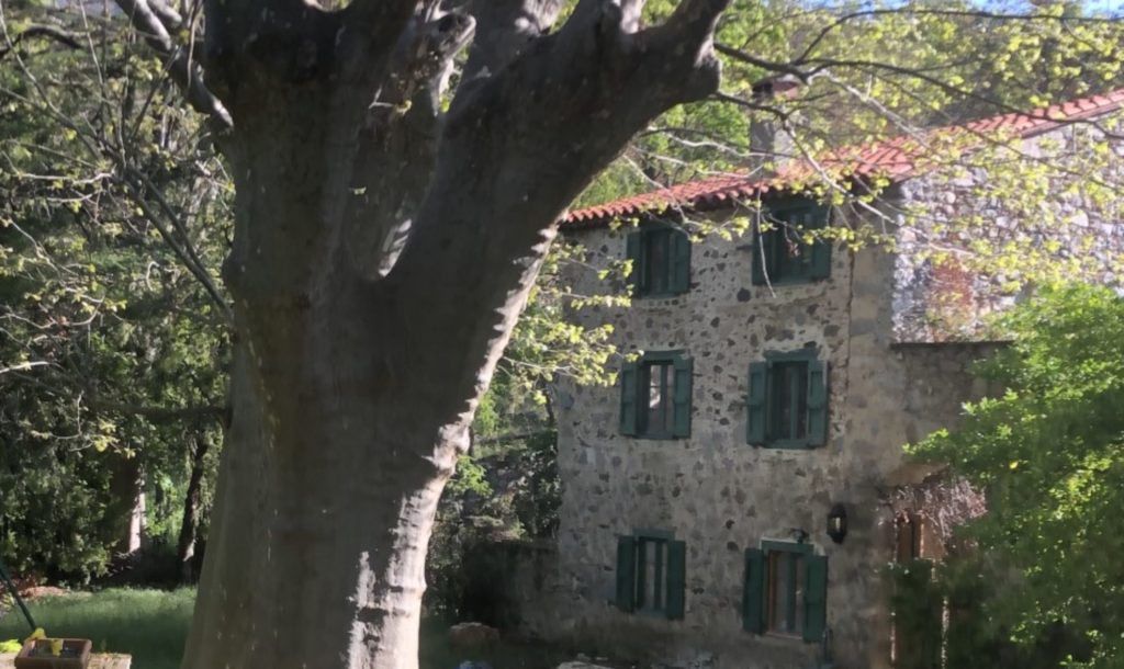 gîte du grand cèdre